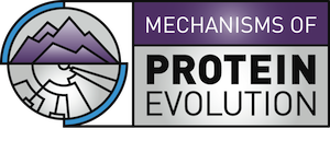 Mechanisms of Protein Evolution